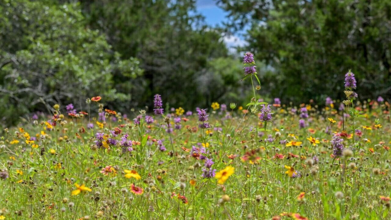 Photo of Outdoor in Marble Falls