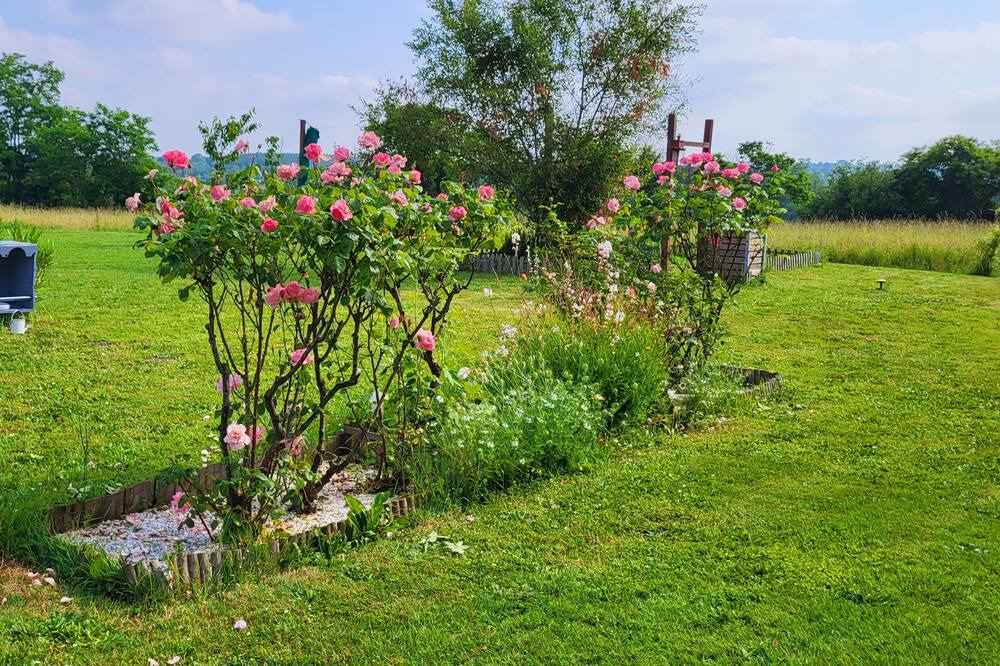 Photo of Outdoor in Habas