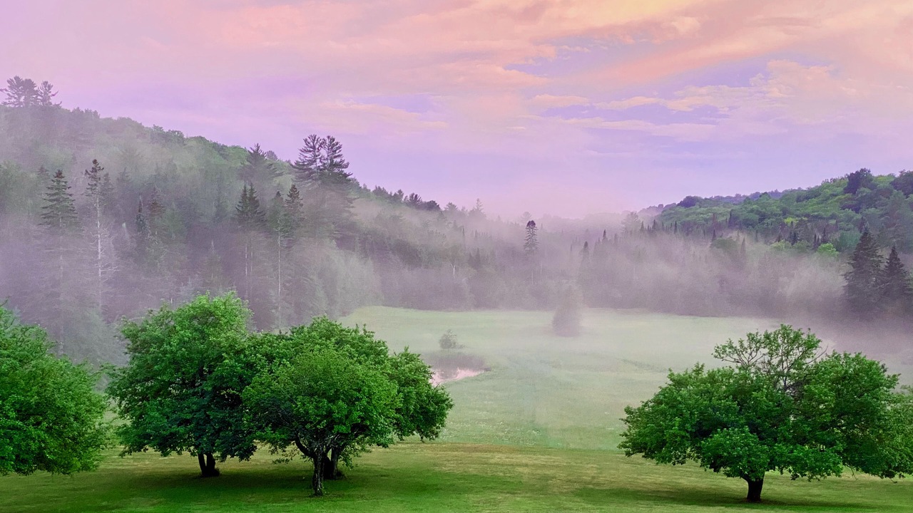 Photo of Outdoor in Harrington