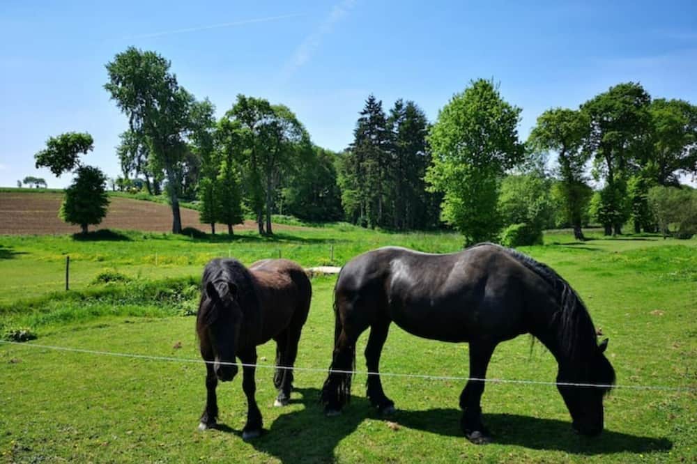 Photo of Others in Lanouee