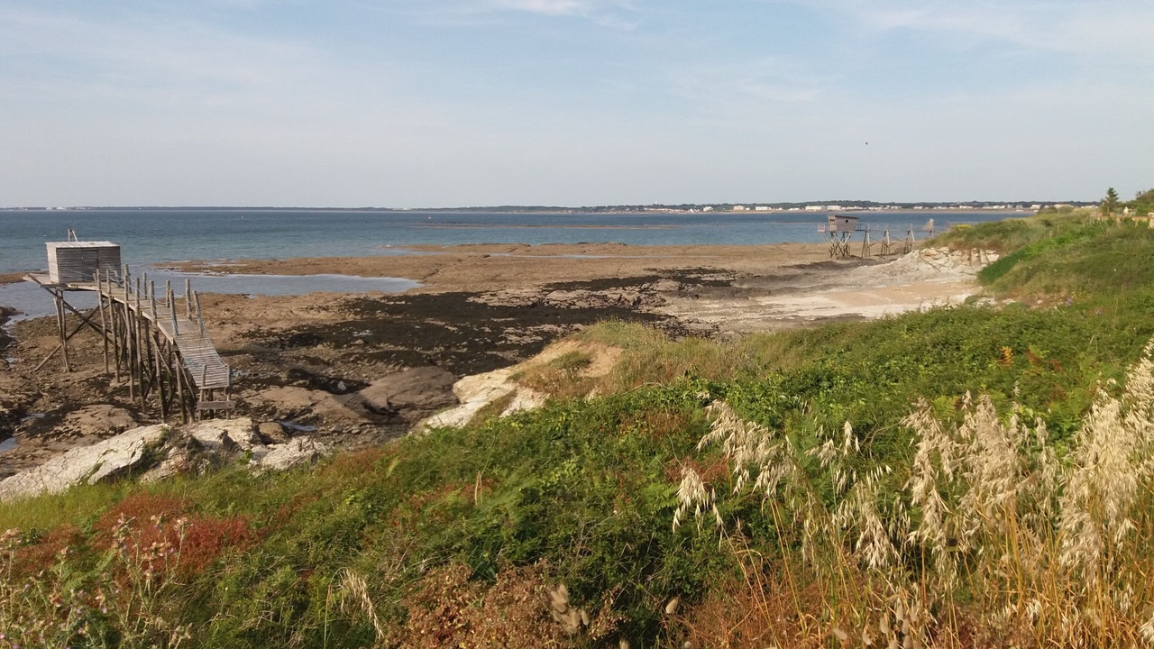 Photo of Others in Loire-Atlantique