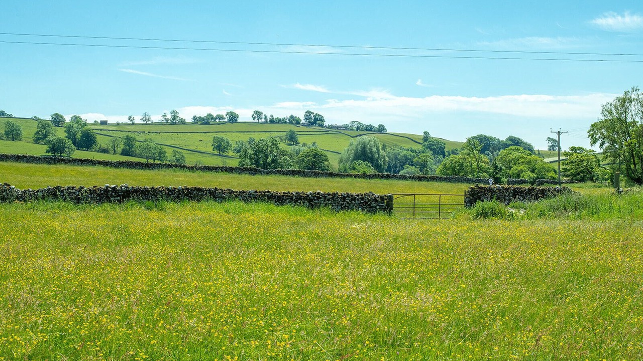 Photo of Others in Malham