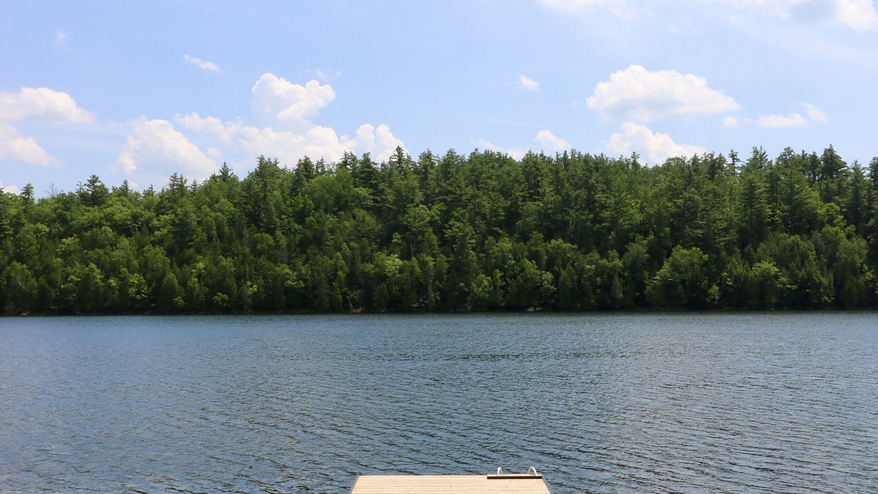 Photo of Outdoor in Tay Valley