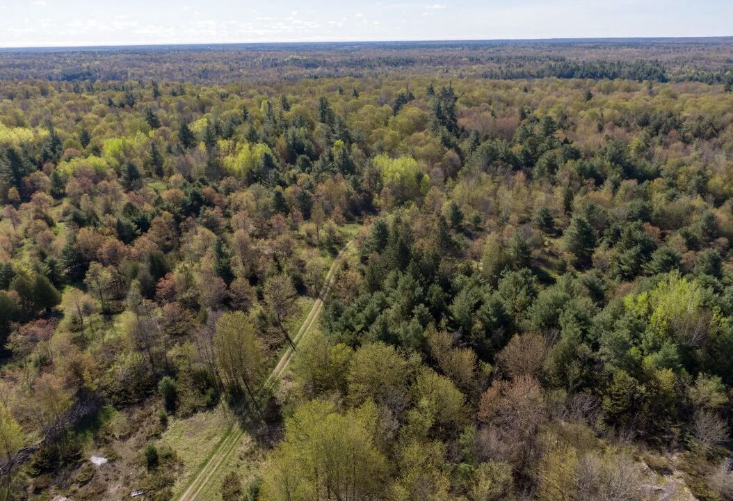 Photo of Outdoor in Tay Valley