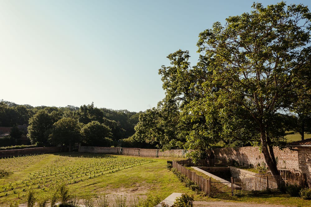 Photo of Outdoor in Chapaize