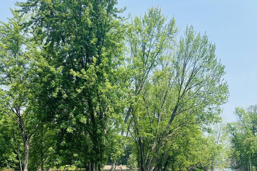 Photo of Outdoor in Oconto