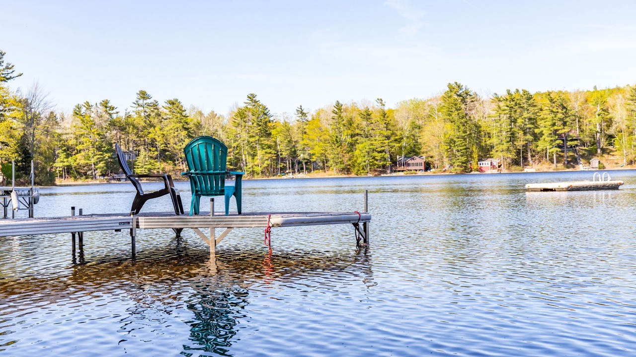 Photo of Others in Eddington