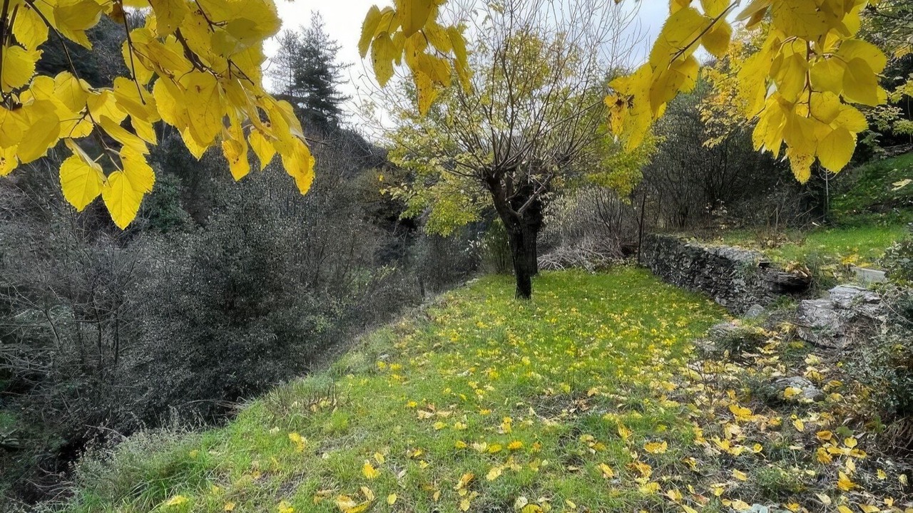 Photo of Others in Pont d'Herault
