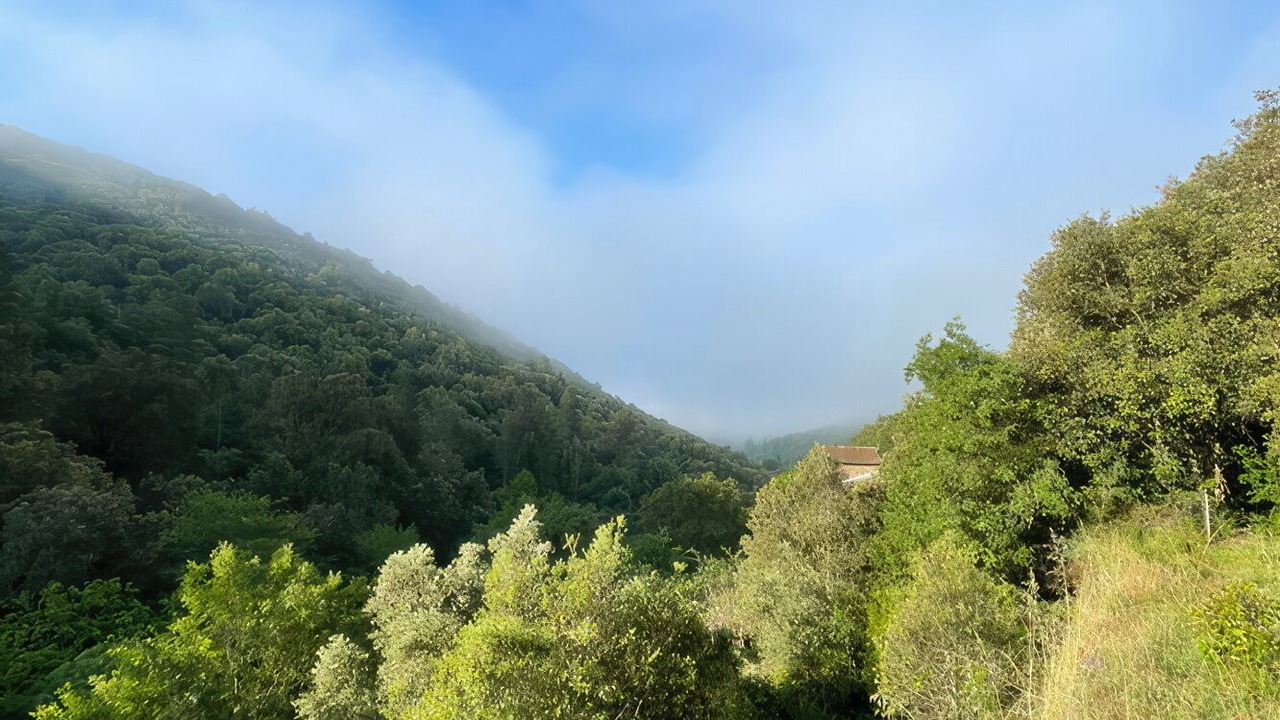 Photo of Others in Pont d'Herault