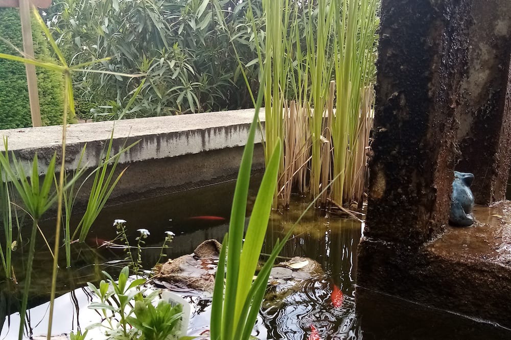 Photo of Outdoor in Allex