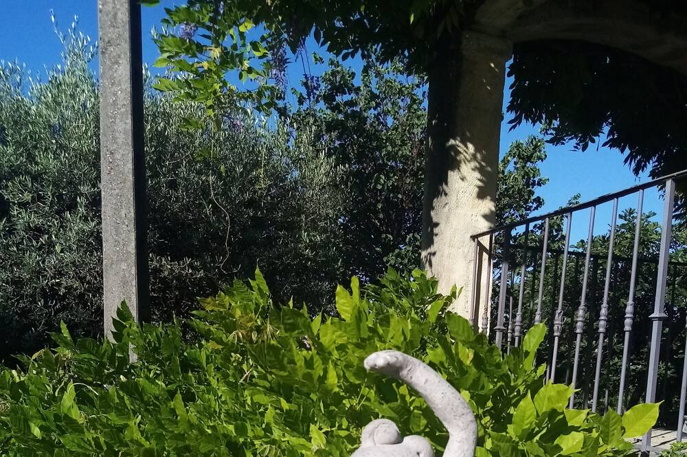 Photo of Outdoor in Allex