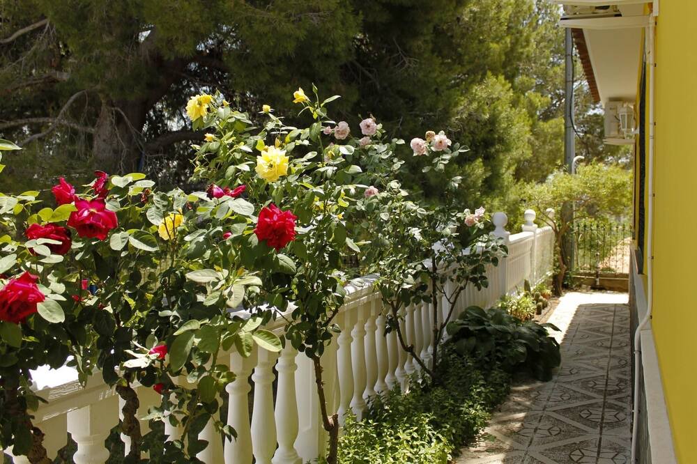Photo of Outdoor in Venta del Moro