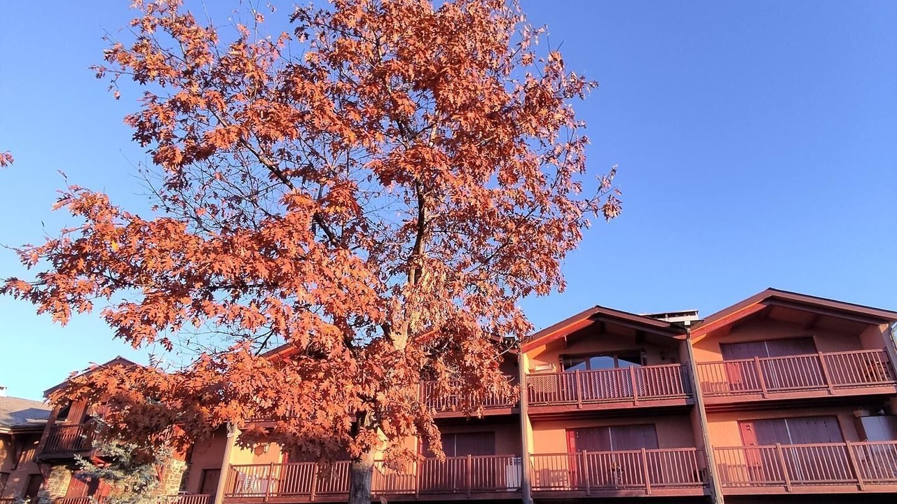 Photo of Outdoor in Sainte-Leocadie