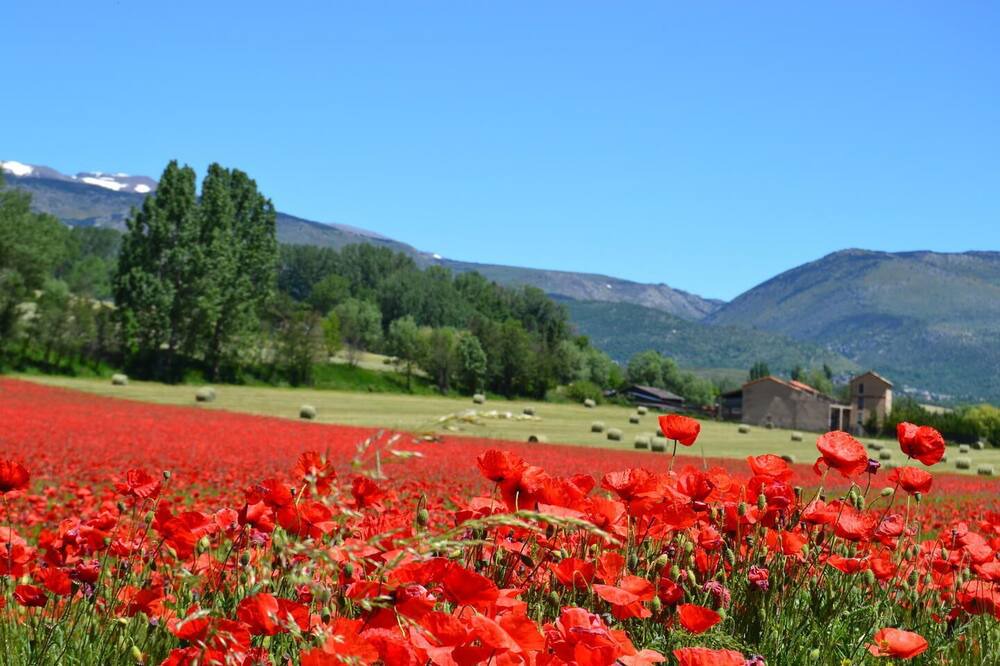 Photo of Outdoor in Angoustrine