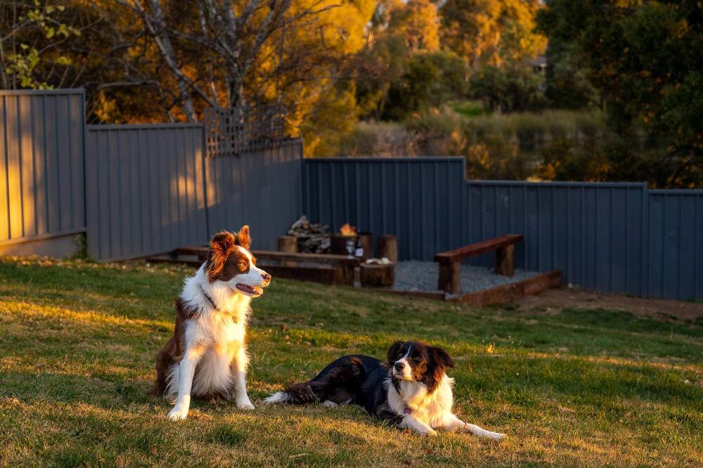 Photo of Others in Bletchington