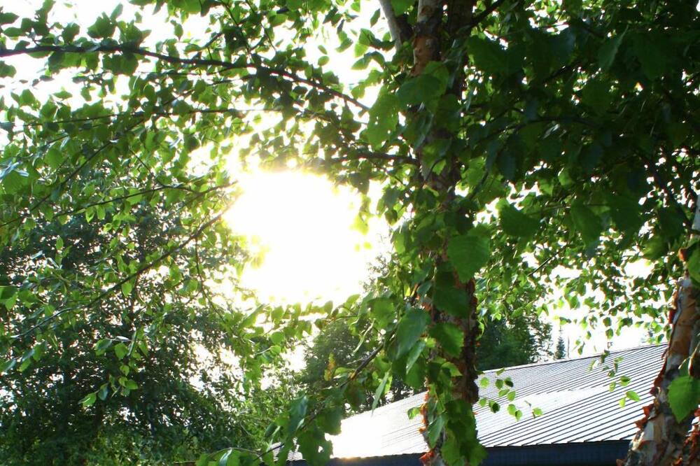 Photo of Outdoor in Utterson