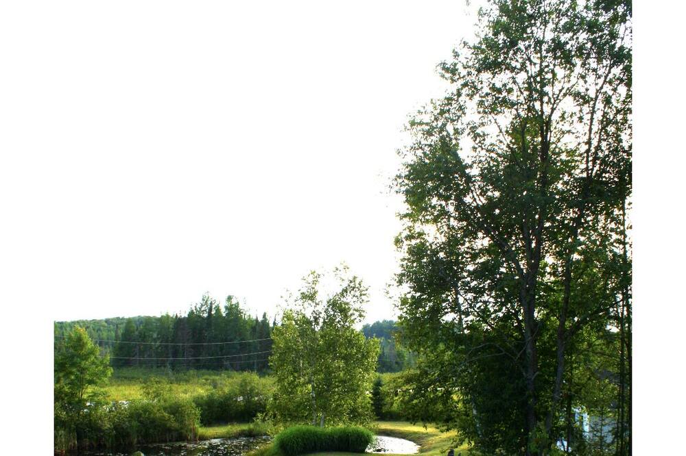 Photo of Others in Utterson