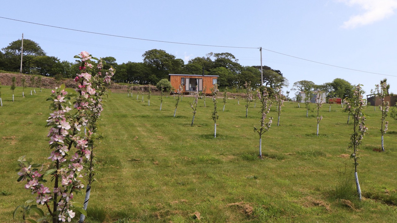 Photo of Others in Chysauster