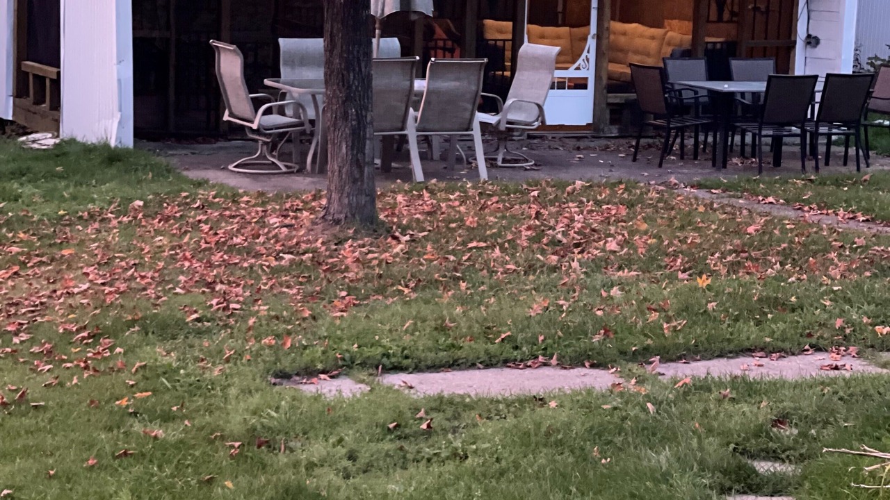 Photo of Outdoor in Val-Alain