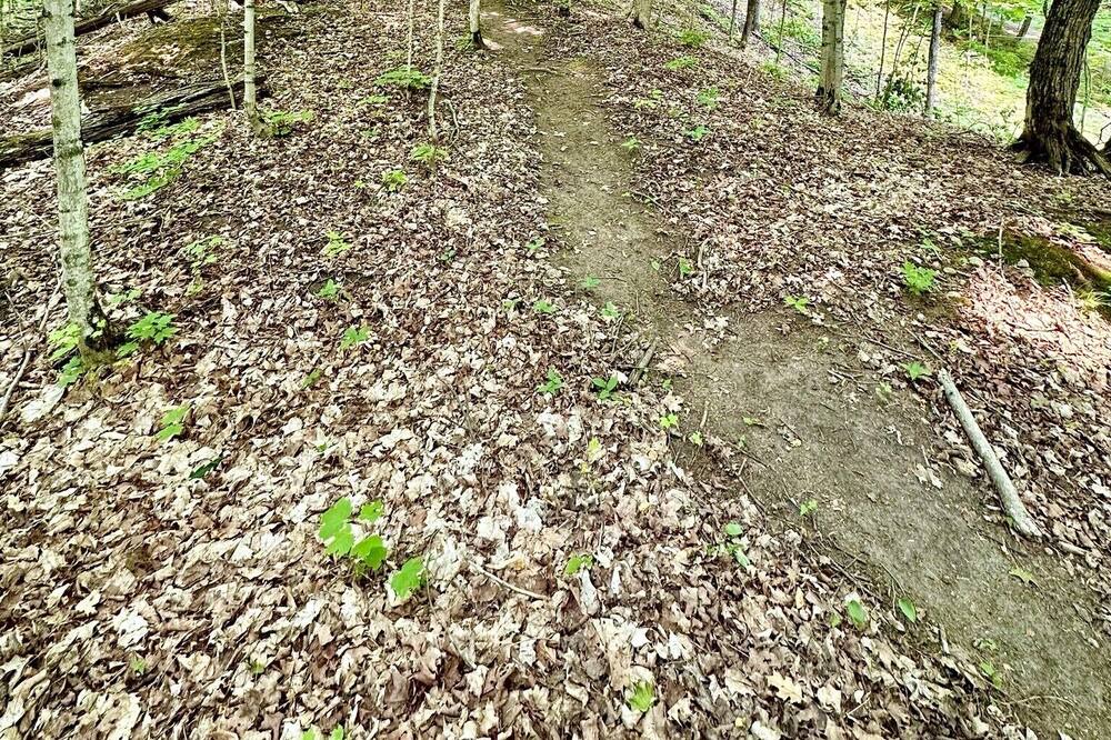 Photo of Outdoor in Minden