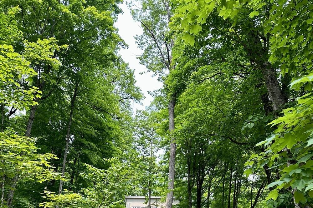 Photo of Outdoor in Minden