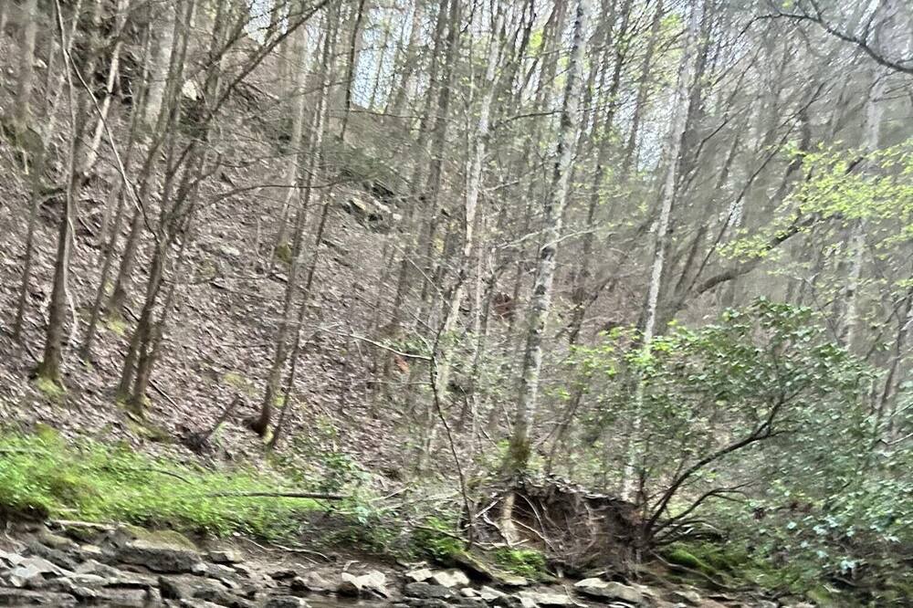 Photo of Others in Soddy-Daisy