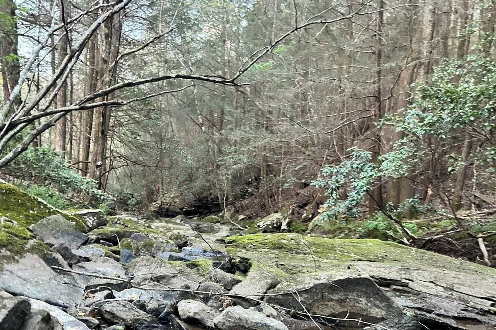 Photo of Others in Soddy-Daisy