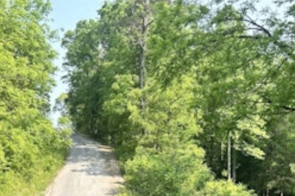 Photo of Others in Soddy-Daisy