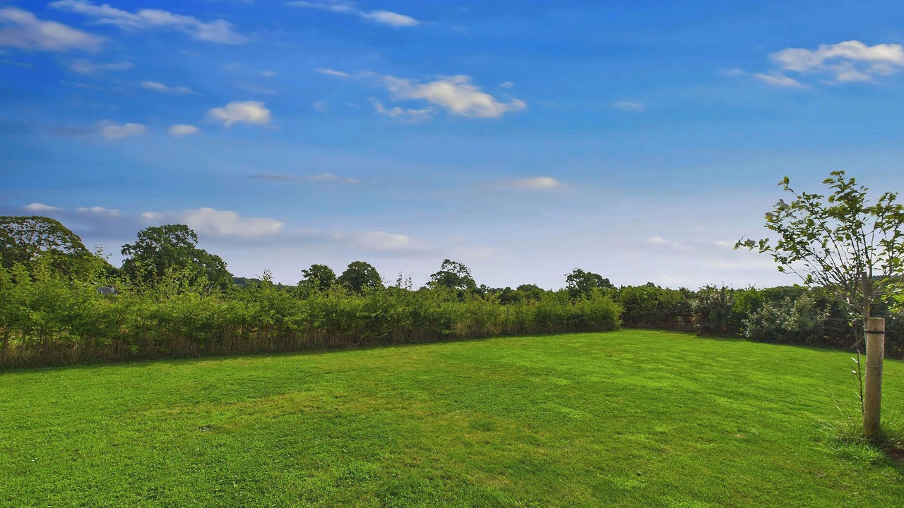 Photo of Others in Tansley