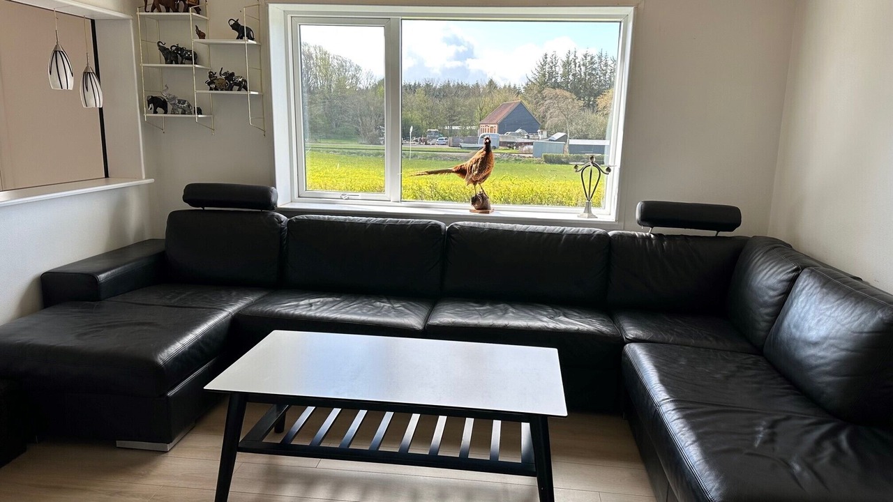 Photo of Livingroom in Nykobing Mors
