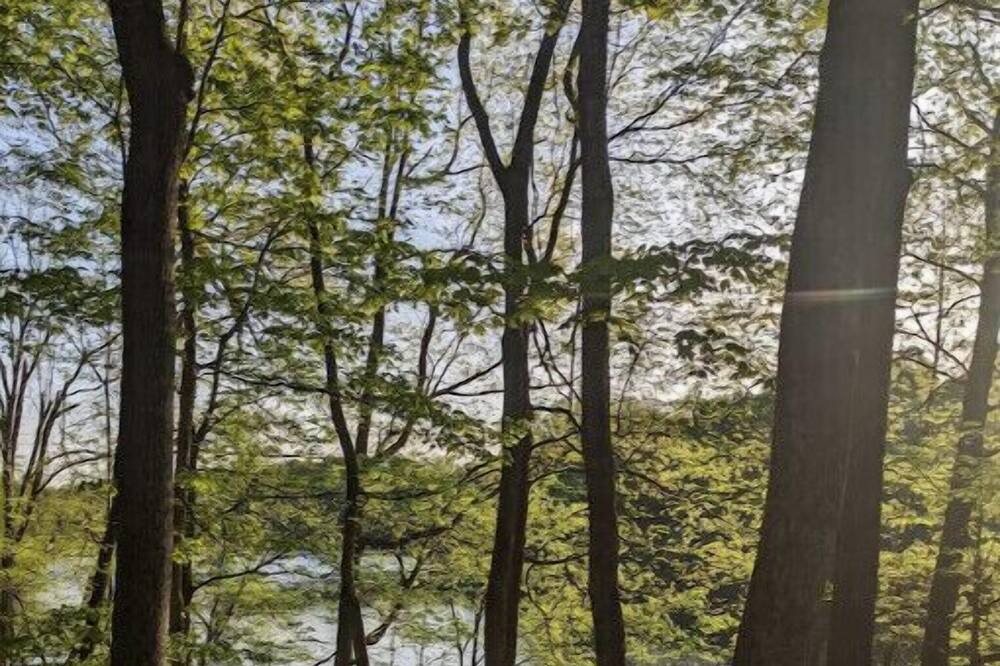 Photo of Outdoor in Falls of Rough