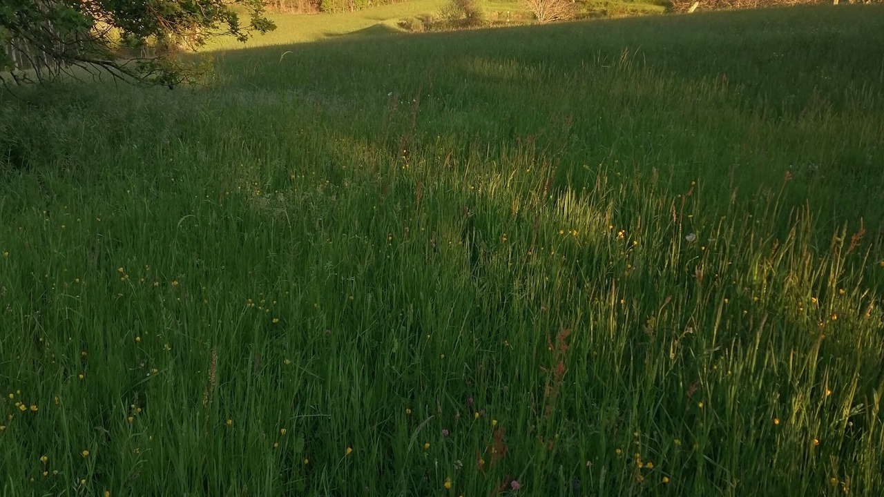 Photo of Others in Salon