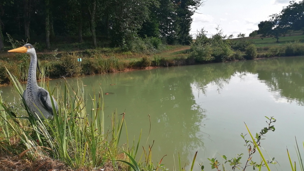 Photo of Others in Salon