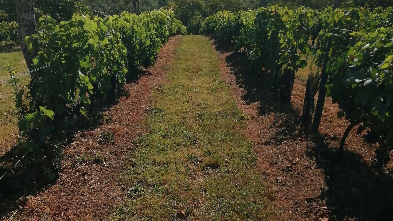 Photo of Outdoor in Salon