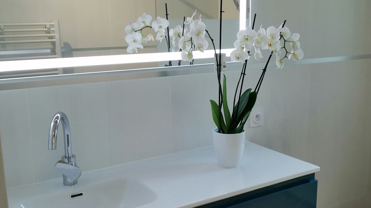 Photo of Others in Salon