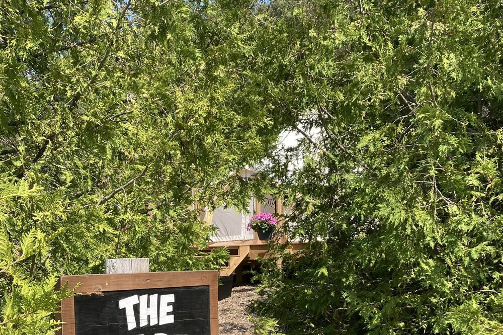 Photo of Outdoor in Tyrone