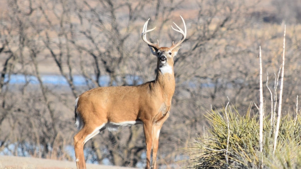 Photo of Others in Ellsworth County