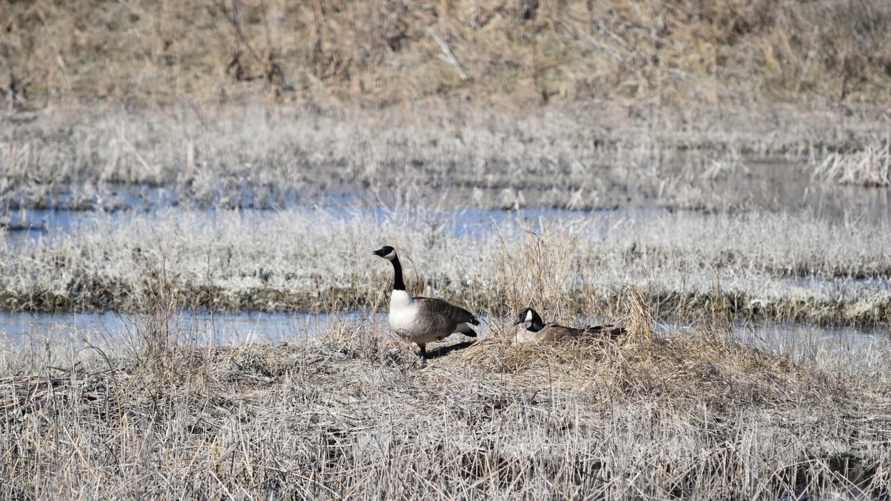 Photo of Outdoor in Ellsworth County
