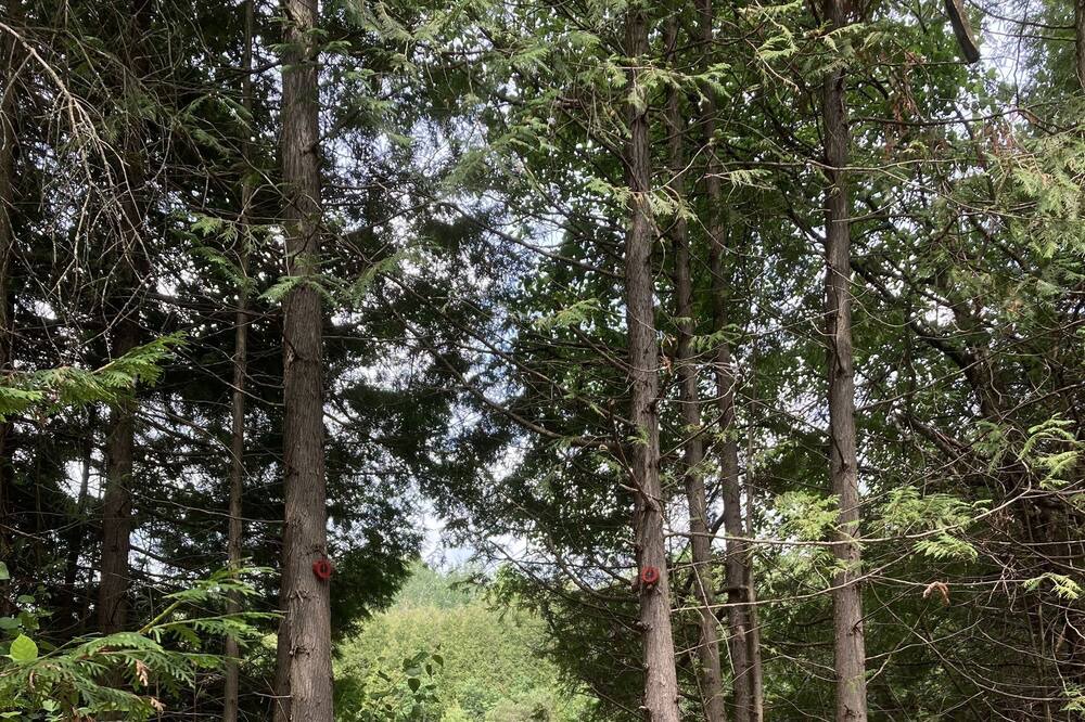 Photo of Outdoor in Tyrone