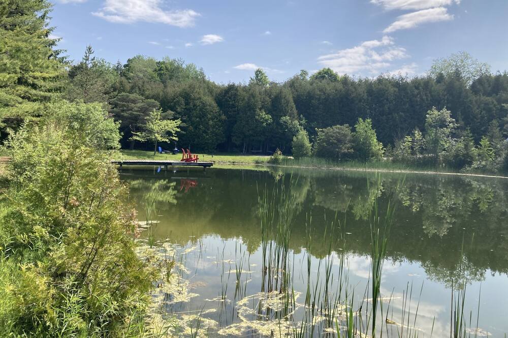 Photo of Outdoor in Tyrone