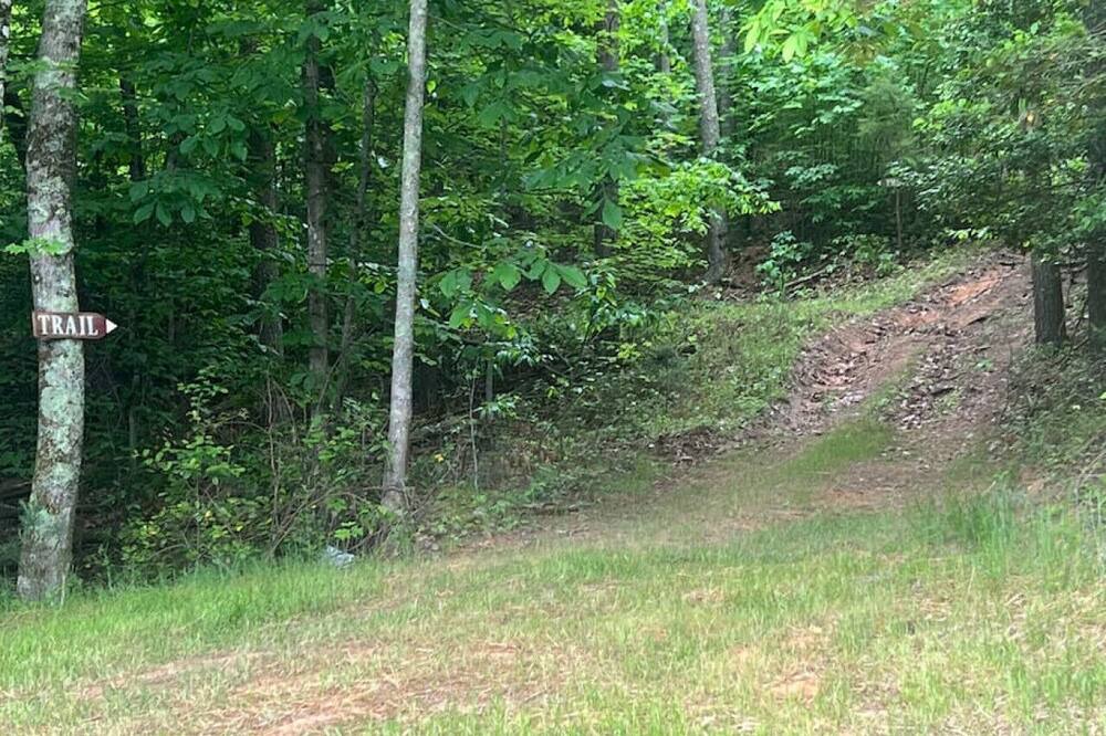 Photo of Others in Millers Creek