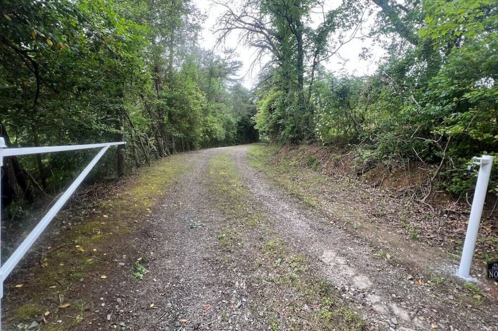 Photo of Others in Millers Creek