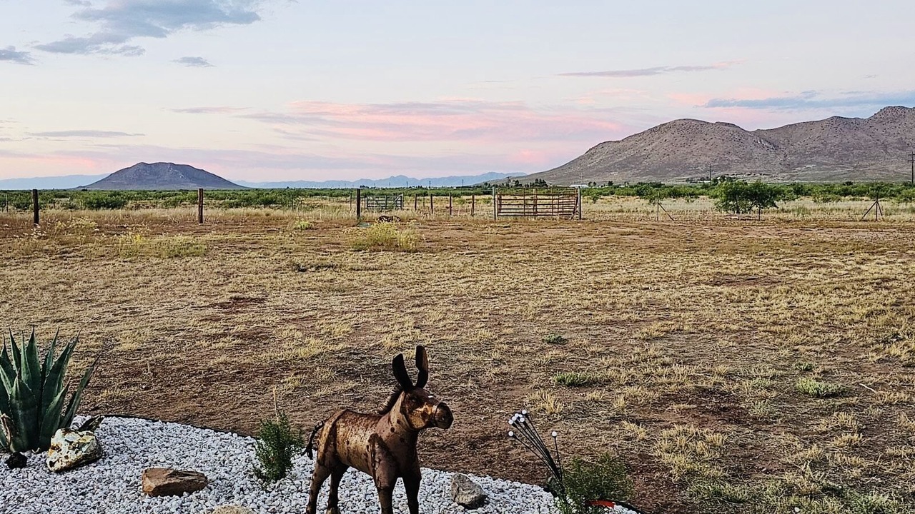 Photo of Outdoor in Pearce