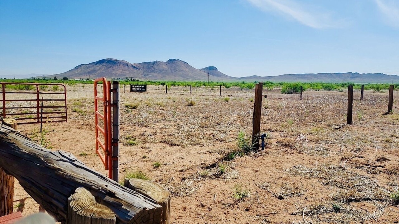 Photo of Outdoor in Pearce