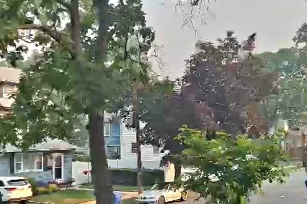 Photo of Outdoor in Rutherford