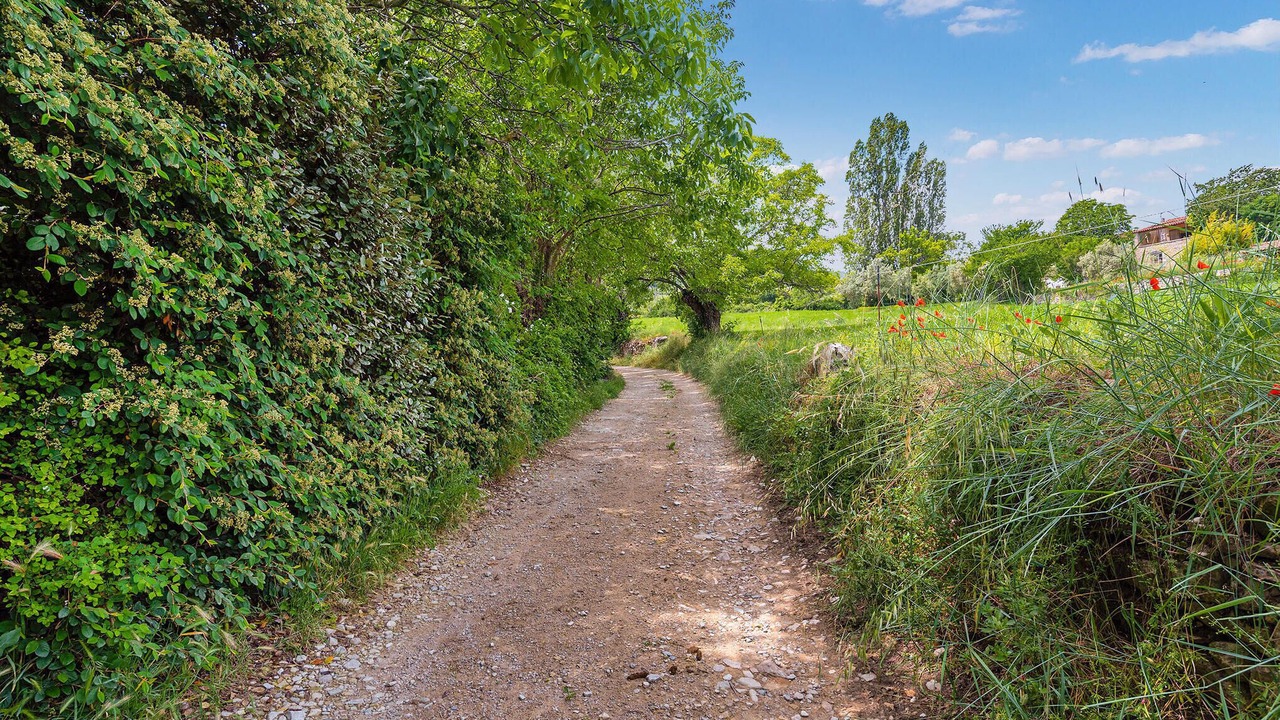 Photo of Outdoor in Limans