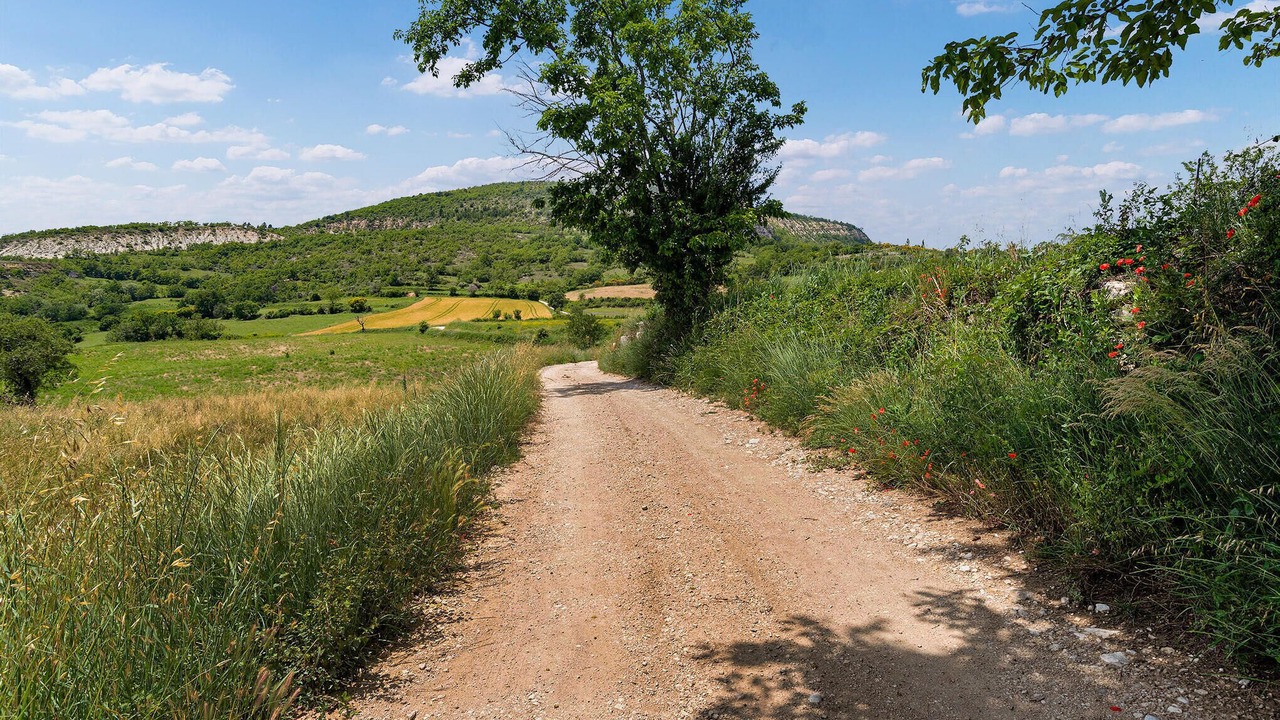 Photo of Outdoor in Limans