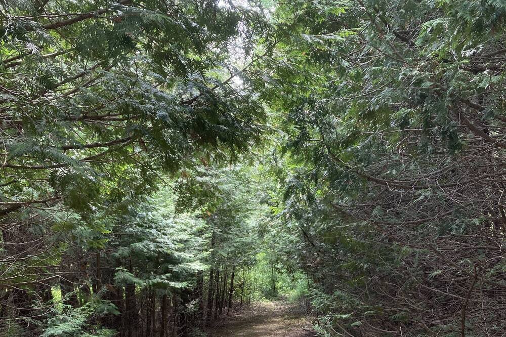 Photo of Outdoor in Tyrone