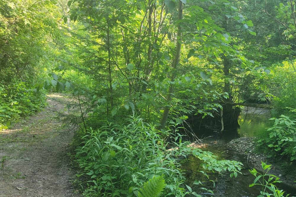Photo of Outdoor in Tyrone
