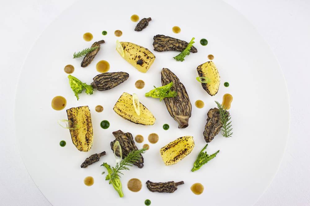 Photo of Others in Ouches